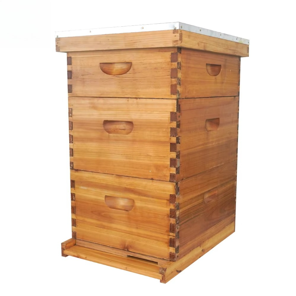 Beehive Frame Wax - Colmena Langstroth completa de 3 capas